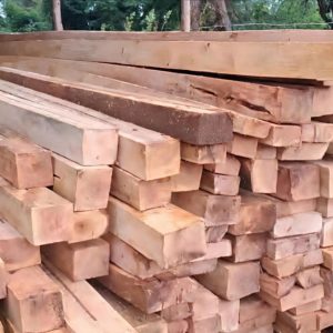 Mukima (Grevillea) 3*2